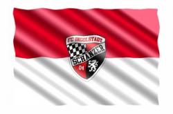 爱游戏亚洲官网-沃尔夫斯堡遭遇多特蒙德连败，危机暗流涌动