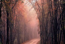 爱游戏app下载-巴斯托尼遭遇伤病困扰,恐影响球队战绩,巴斯托尼为啥能卖3110万欧