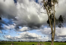 爱游戏登录入口-格雷泽主教练调整训练内容,着力提高球员技术水平,格雷泽尔