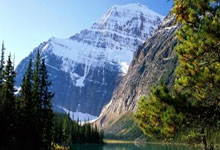 爱游戏体育下载-格雷曼首秀进球，菲兰萨保持连胜，格雷曼官网