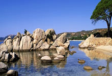 爱游戏登录入口-格雷泽主教练调整训练内容，着力提高球员技术水平，格雷泽尔